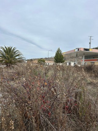 Mantenimiento Parcelas y servicios AGRICOLAS