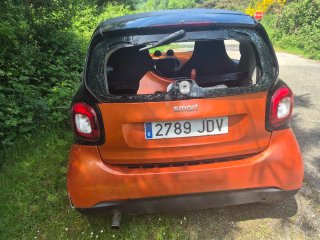smart fortwo 2015