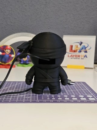 NinjaBot con cámara de vigilancia