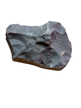 Fósil Trilobites en Roca