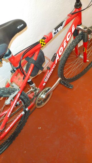 Bicicleta de Montaña