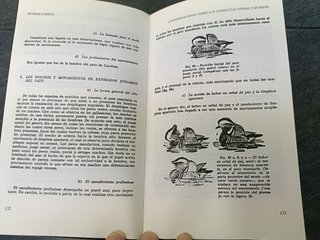 CONSIDERACIONES SOBRE LAS CONDUCTAS HUMANAS