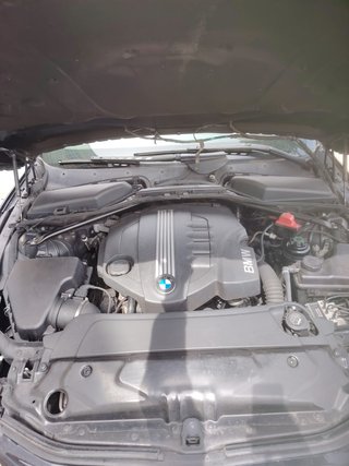 BMW Serie 5 520D Automático. Muy Cuidado
