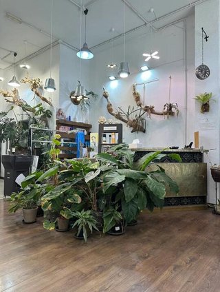 Traspaso PELUQUERÍA en Canarias/Alcaravaneras