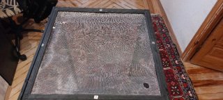 Terrario para camaleón + accesorios