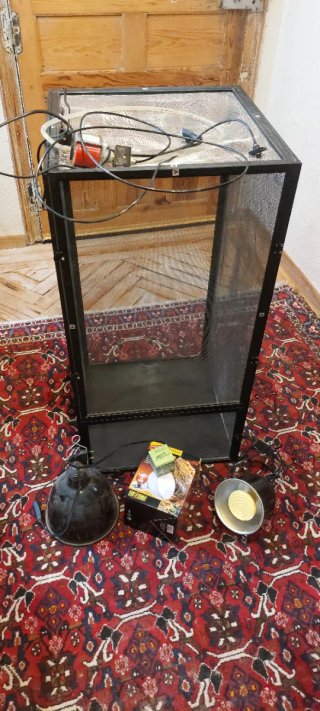 Terrario para camaleón + accesorios