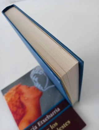 BEATRIZ Y LOS CUERPOS CELESTES una novela rosa