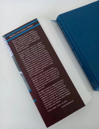 BEATRIZ Y LOS CUERPOS CELESTES una novela rosa