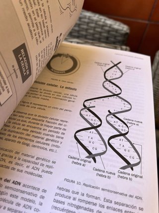 Libros de Ciclo Formativos de FP