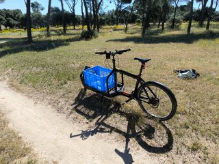 Larry vs Harry Bullitt Cargo Bike