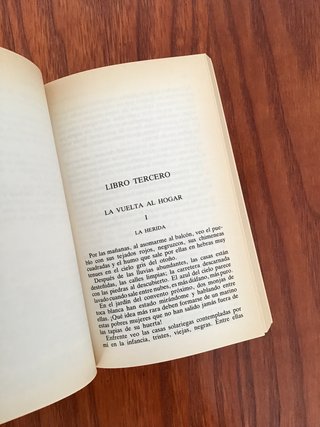 Las Inquietudes De Shanti Andia (Spanish Edition)