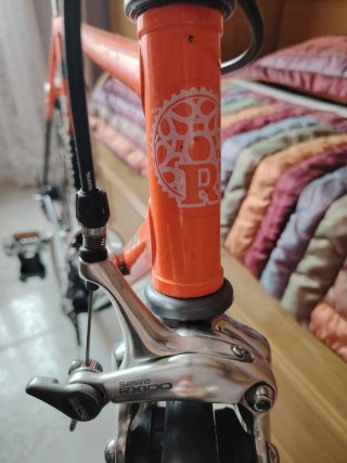Bicicleta Razesa Vintage... ÚNICA
