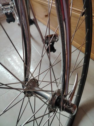 Bicicleta Razesa Vintage... ÚNICA