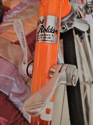 Bicicleta Razesa Vintage... ÚNICA