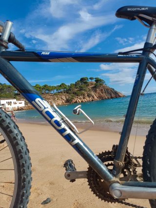 Bicicleta Scott Peak