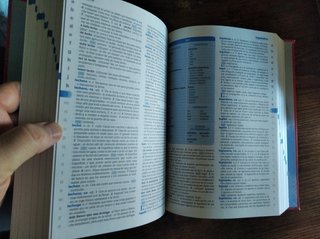 Diccionario Escolar de la Lengua Española