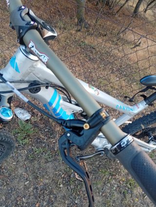 Canyon DH Torque bici