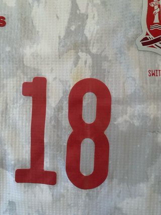 Camiseta Jordi Alba España 2022 Match Worn
