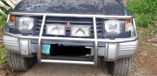 Defensa frontal con faros de larga distancia