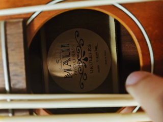 Ukelele Bajo Eléctrico acustico