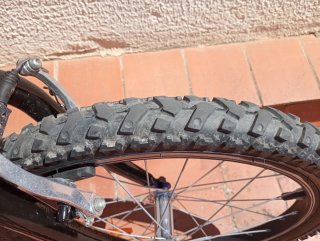 Bicicleta Infantil BH 20 Montaña