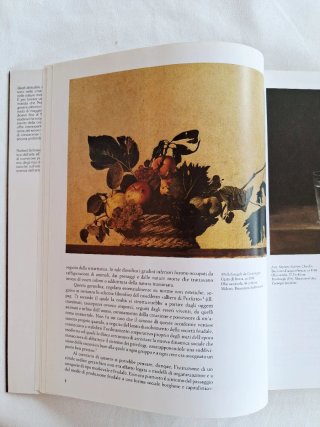 Libro d'arte: Nature morte