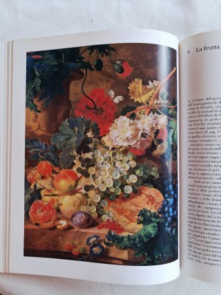 Libro d'arte: Nature morte