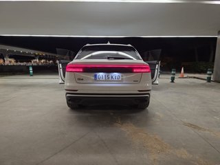 Audi Q8 2019