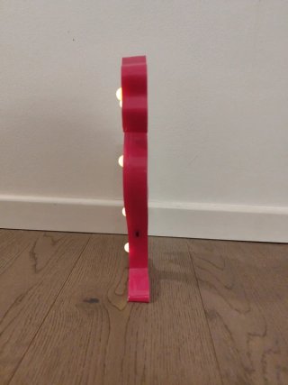 Fenicottero rosa