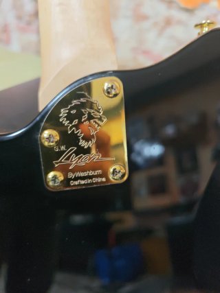Guitarra Eléctrica Lyon by Washburn Negra
