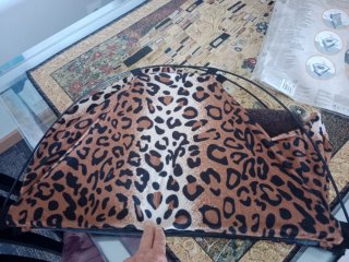 Casita plegable para perro o gato