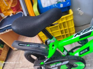 Bicicleta infantil verde Dino Bikes