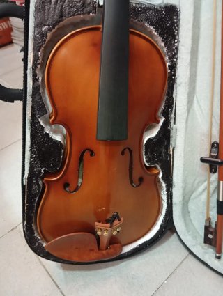 Violín (sin cuerdas) con funda