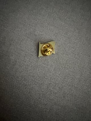 Pin Bandera Polonia