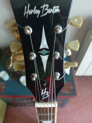 Guitarra Eléctrica Zurdos