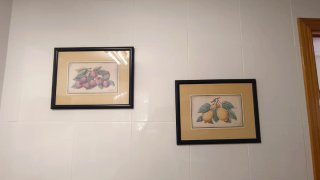 Quadri di frutta in legno e carta