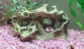 Acuario hexagonal con luz LED               30L