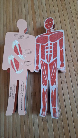 Libro infantil de Anatomía en Català