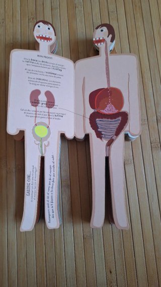 Libro infantil de Anatomía en Català