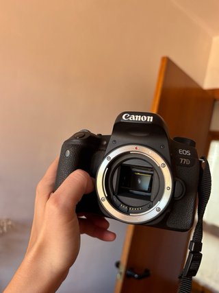Canon EOS 77D Cámara Réflex Digital