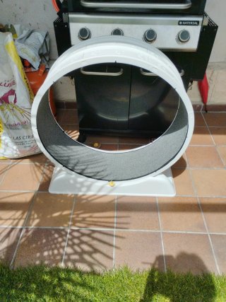 Rueda ejercicio gato