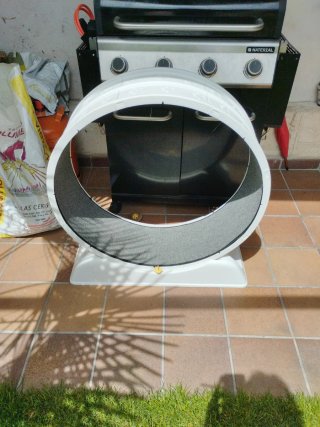 Rueda ejercicio gato