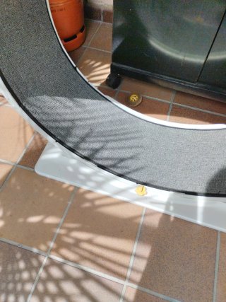 Rueda ejercicio gato