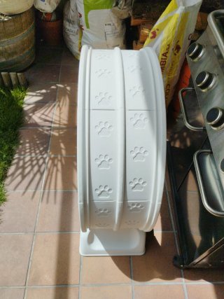 Rueda ejercicio gato