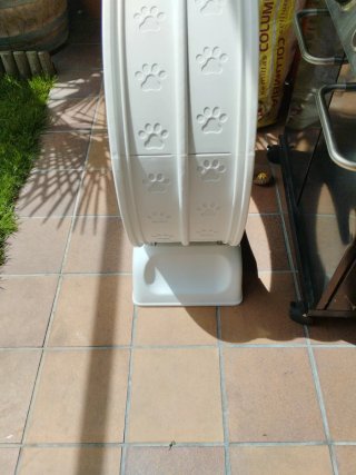 Rueda ejercicio gato