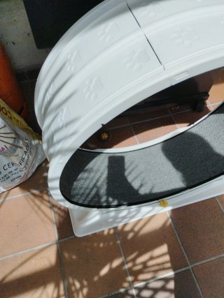 Rueda ejercicio gato