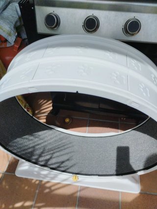Rueda ejercicio gato