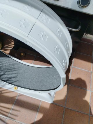 Rueda ejercicio gato