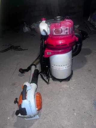Recolector de aceitunas Cifarelli