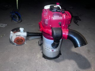 Recolector de aceitunas Cifarelli
